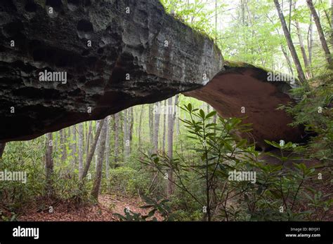 Natural Bridge Pickett CCC Memorial State Park Tennessee Stock Photo