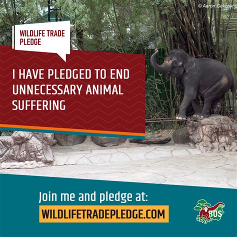 Pledge Confirmation Wildlife Trade Pledge