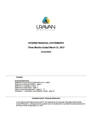 Fillable Online Interim Financial Statements Three Months Ended March