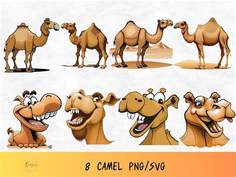 Camel Svg Bundle Cute Camel Svg Desert Animal Clip Art Egypt Animal