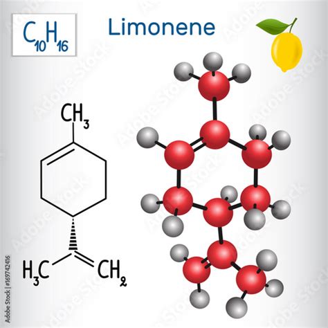 Limonene Molecule Structural Chemical Formula And Model Stock Vector