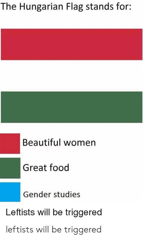 What the Hungarian flag means : r/2visegrad4you