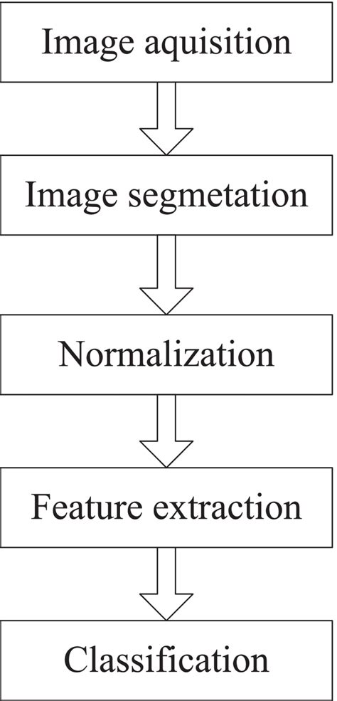 The Procedures For Performing The Iris Classification Download Scientific Diagram