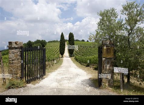 Wine Regions Of Italy Hi Res Stock Photography And Images Alamy