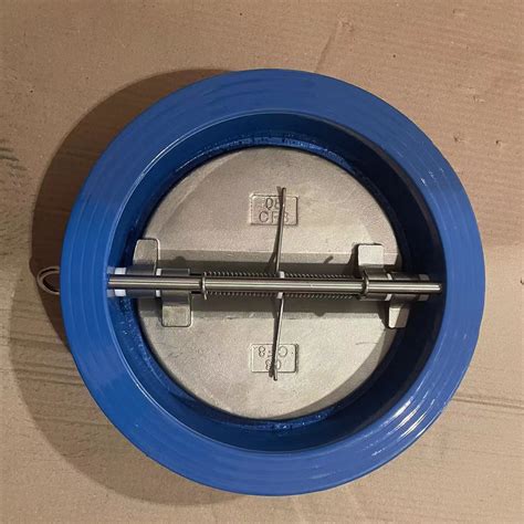 150lb Wafer Type Swing Double Disk Check Valve Dual Plate Non Return