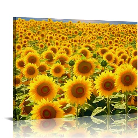 JEUXUS Canvas Print Wall Art Hundreds Of Sunflowers In Field Floral