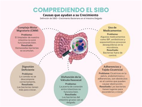 ¿qué Es El Sibo Y Cuáles Son Sus Síntomas