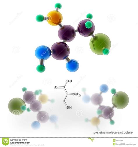 Cysteine Molecule Structure Stock Illustration - Illustration of ...