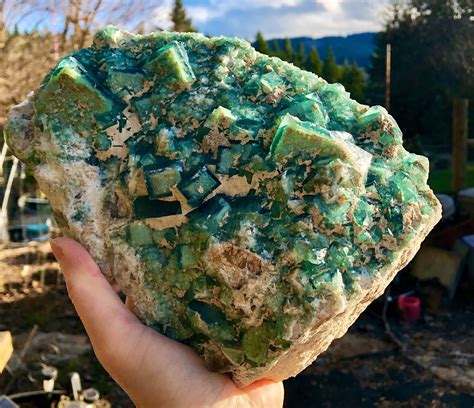 G Large Green Cubic Fluorite Crystal Cluster Specimen Plate On