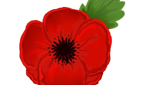 Remembrance Day Poppy Png Picture Png Arts | Images and Photos finder