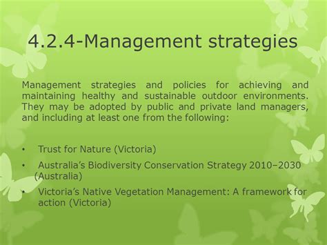 Management Strategies Management Strategies And Policies For