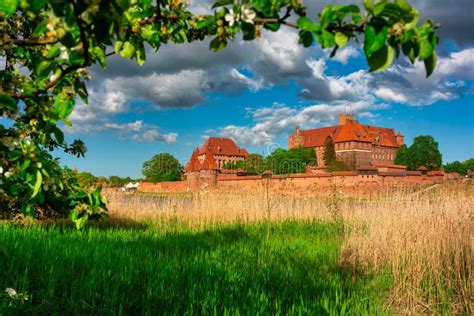 The Castle Of The Teutonic Order In Malbork By The Nogat River Stock