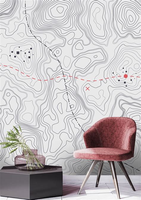 Topographic Topo Map Wallpaper, Black White Background Wall Mural ...