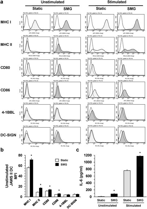 JAWS II DC Undergo Maturation When Cultured In SMG A Unstimulated