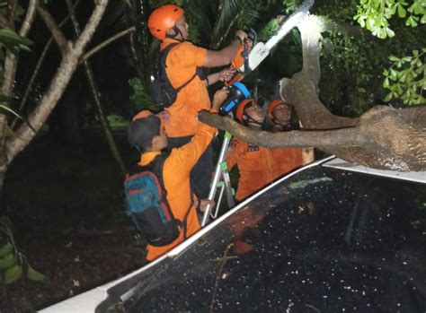 Hujan Angin Pohon Tumbang Di Bogor Timpa Mobil Warga Okezone Megapolitan