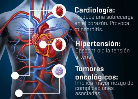 Enfermedades Cardiovasculares En El Grupo De Mayor Riesgo Diario El