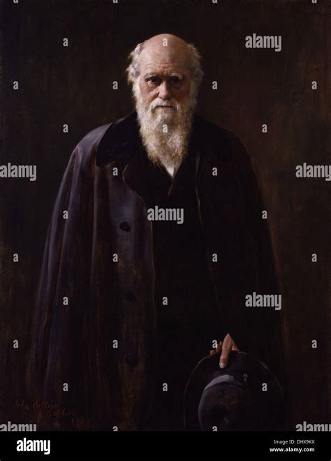 Charles Darwin Portrait Painting Hi Res Stock Photography And Images