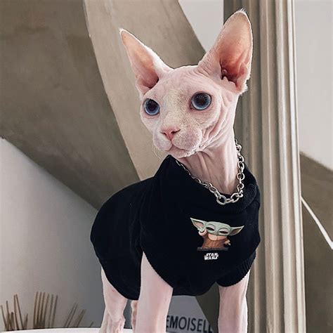 Cotton Hairless Cat Clothes Sphynx Cat Clothing Hooded Smile Etsy