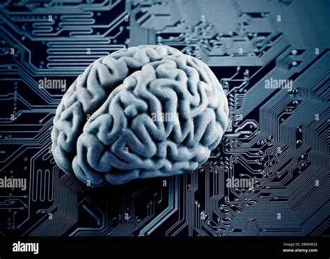 Human Brain And Circuit Board Hi Res Stock Photography And Images Alamy