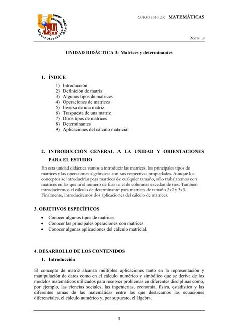 PDF UNIDAD DIDÁCTICA 3 Matrices y determinantes 1 fpatorrevieja