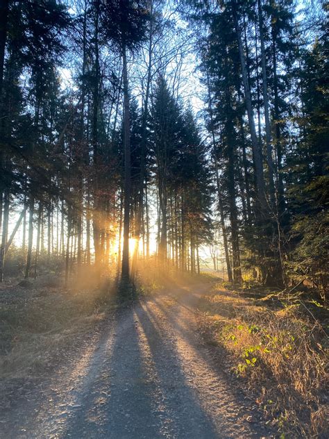 Privatwald Schnittpunkt Forstbetrieb