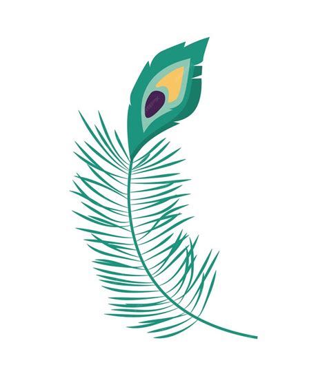 Free Vector Peacock Feather Illustration