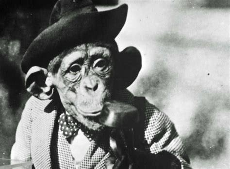 Scopes Monkey Trial – Historical Easter Eggs – Today in History