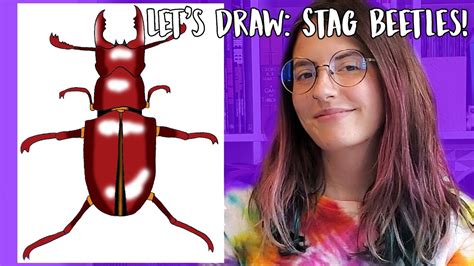 Let S Draw Stag Beetles Youtube