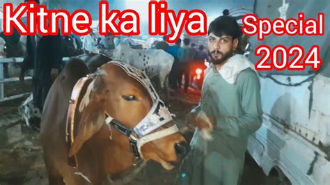 Kitne Ka Liya Special Qurbani Mandi Update Soda Live Youtube