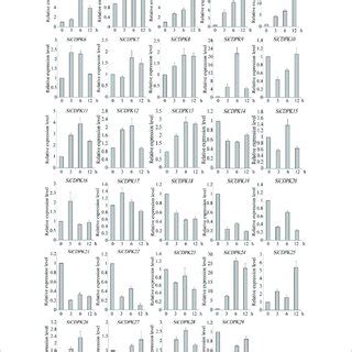 Expression Patterns Of Sicdpk Genes Under Drought Treatment Qrt Pcr