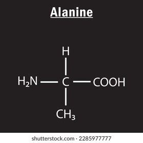 Alanine Amino Acid Formula Structure Chemical Stock Vector Royalty