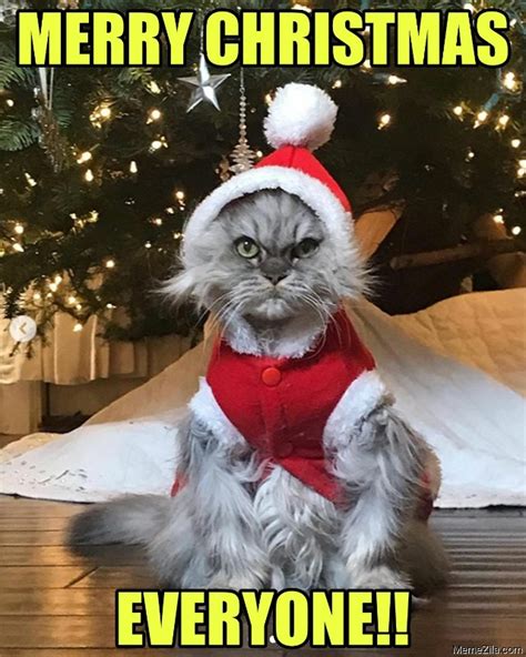 Cat Merry Christmas Meme - Captions Profile