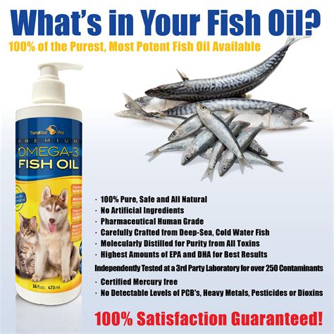 27 Top Images Can Cats Eat Fish Oil - 6 Superfoods For Cats Yes They Do