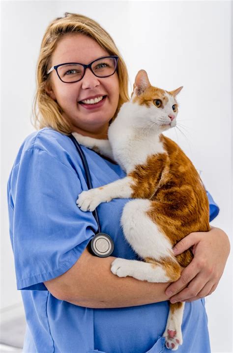 How To Make Veterinary Visits Easier For You Your Cat CatTime