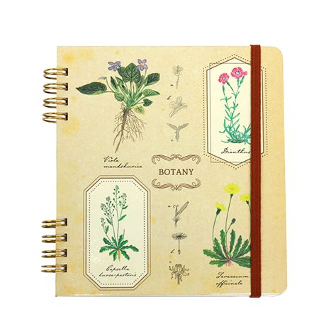 Books Kinokuniya Square Ring Notebook Biology Greenflash