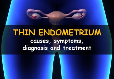 Thin Endometrium Causes Symptoms And Treatment World Fertility