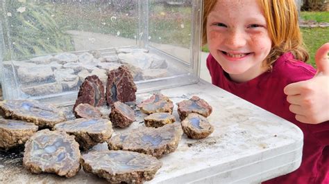 Succor Creek Thunder Egg Adventure Digging Cutting Open Million