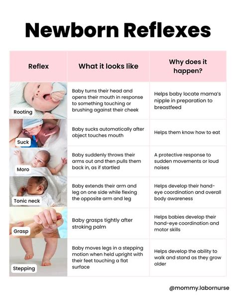 Learn All About Newborn Reflexes in 2024 | Newborn baby tips, Newborn ...