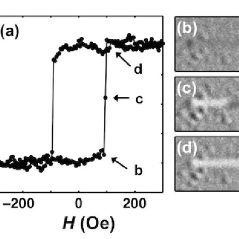 Schematic Of Magnetic Force Microscopy The Inset Figure Corresponds To