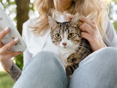 Aktuelles Tierschutzverein Katzenhilfe e V Düsseldorf Neuss