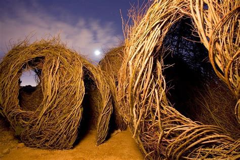 Patrick Doughertys Twig Sculptures Amusing Planet