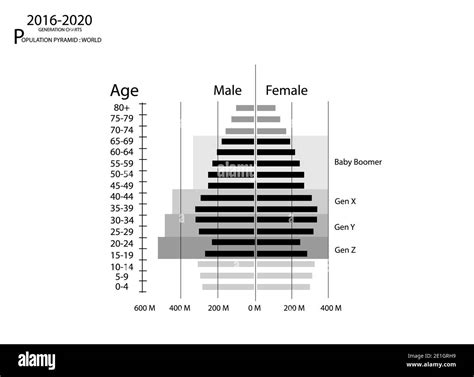 Población Y Demografía Pirámides De Población O Gráfica De Estructura
