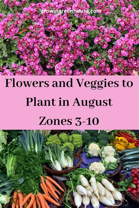 Late Summer Is A Perfect Time To Plant Flowers And Vegetables For Your