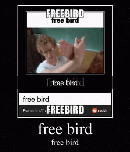 Free Bird GIF - Free Bird - Discover & Share GIFs