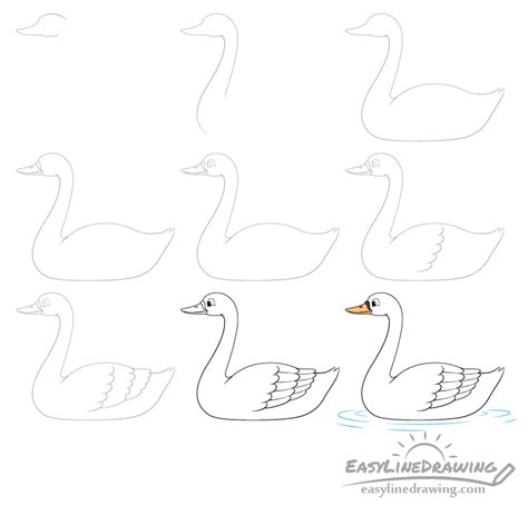 How To Draw A Swan Step By Step Easylinedrawing