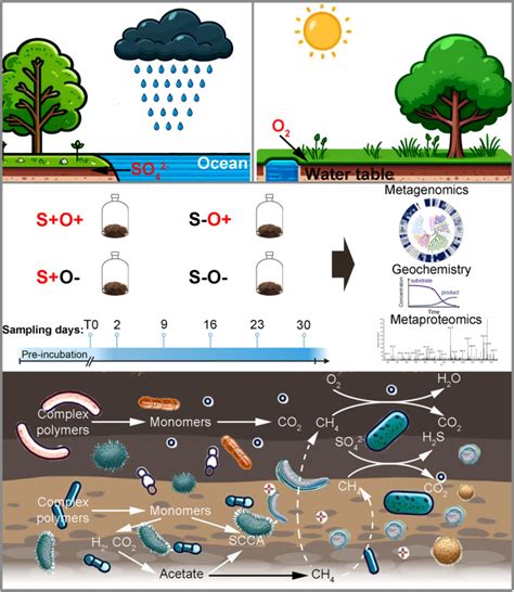 Metaproteomics Informed Stoichiometric Modeling Reveals The Responses