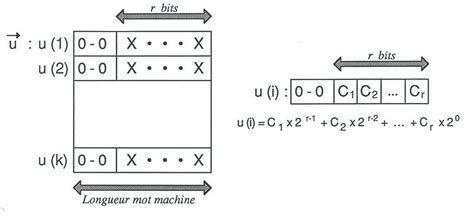 Format of a normalized vector | Download Scientific Diagram