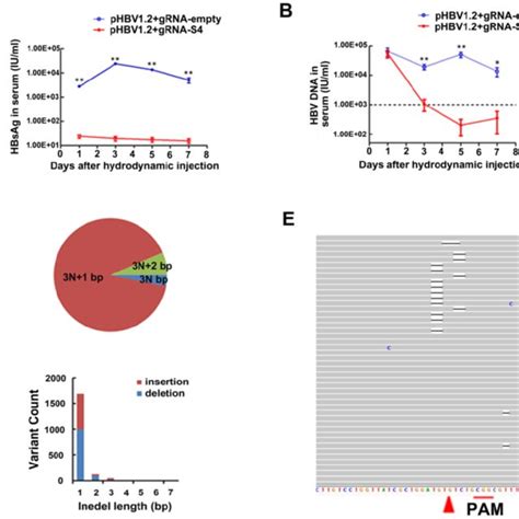 Inhibition Of Both Hbv Antigen Expression And Hbv Replication By