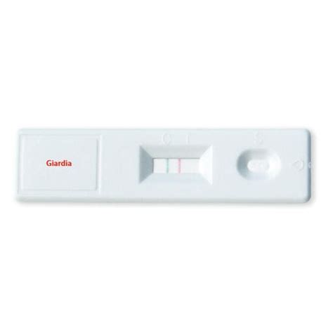 Rapid Giardiasis Test Odz 016 Vidia Sro Giardia Lamblia Stool