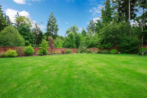 Green Large Fenced Backyard With Trees Royalty Free Stock Images